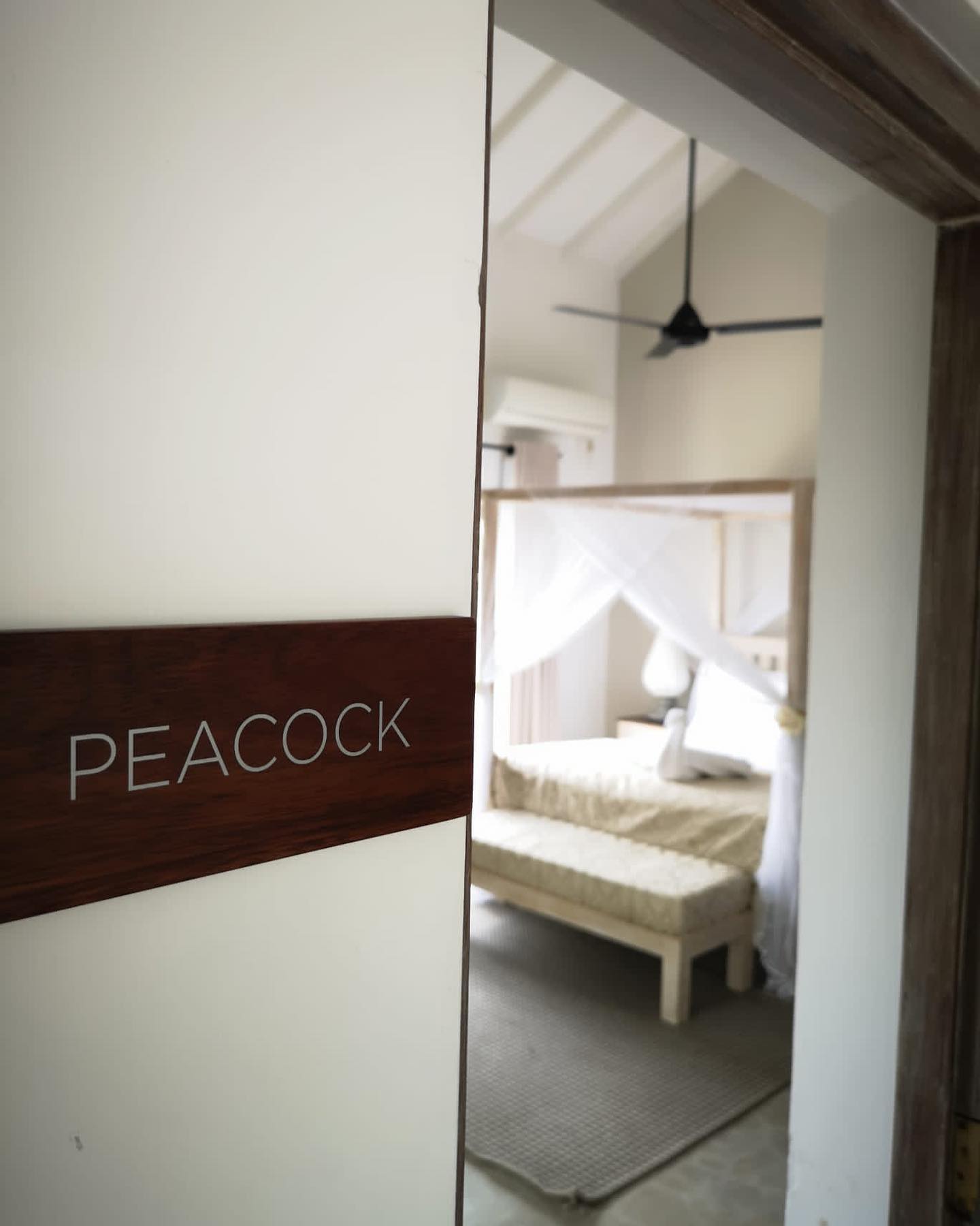 Arahtis Instagram Photos